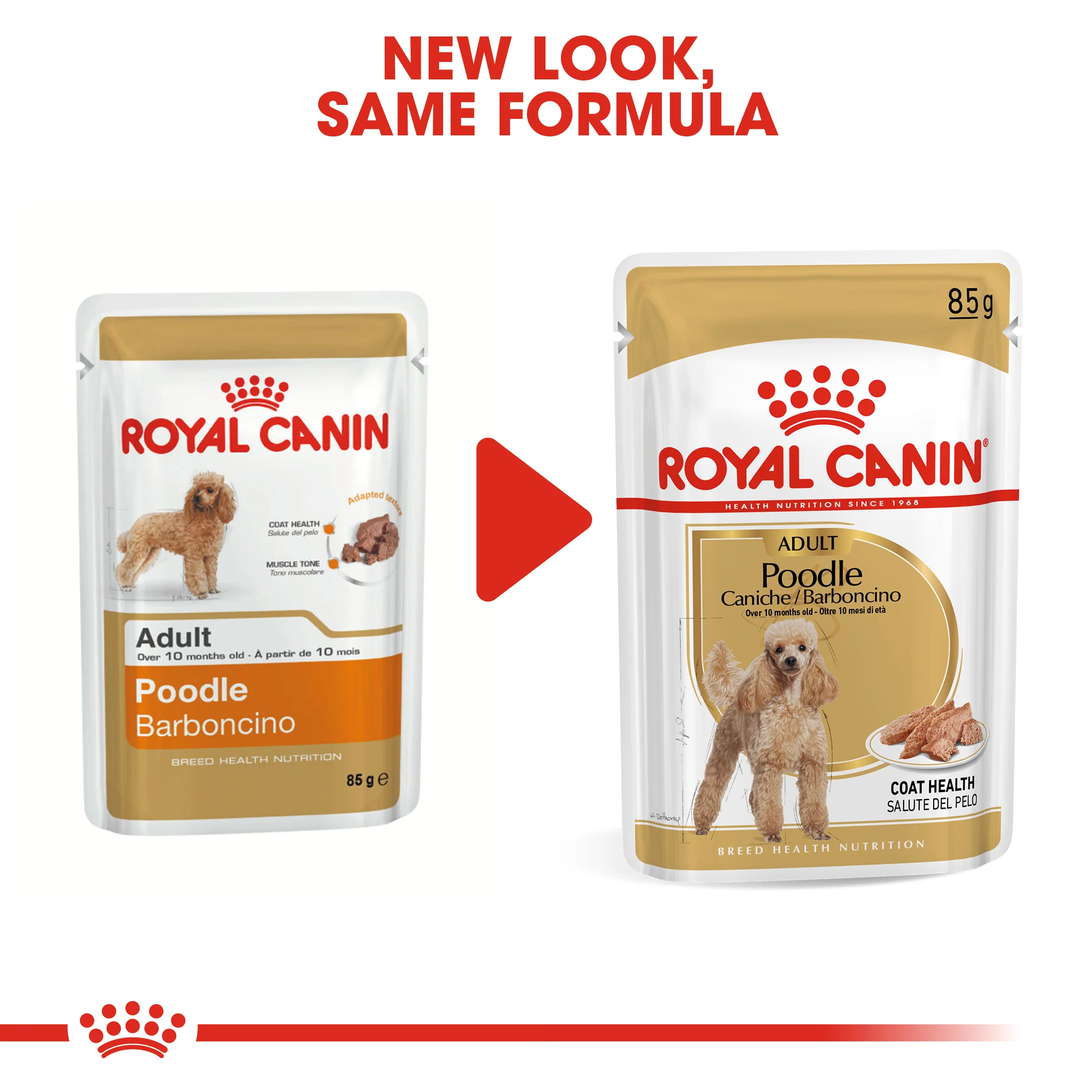 ROYAL CANIN Poodle Adult Wet Dog Food - Image 8