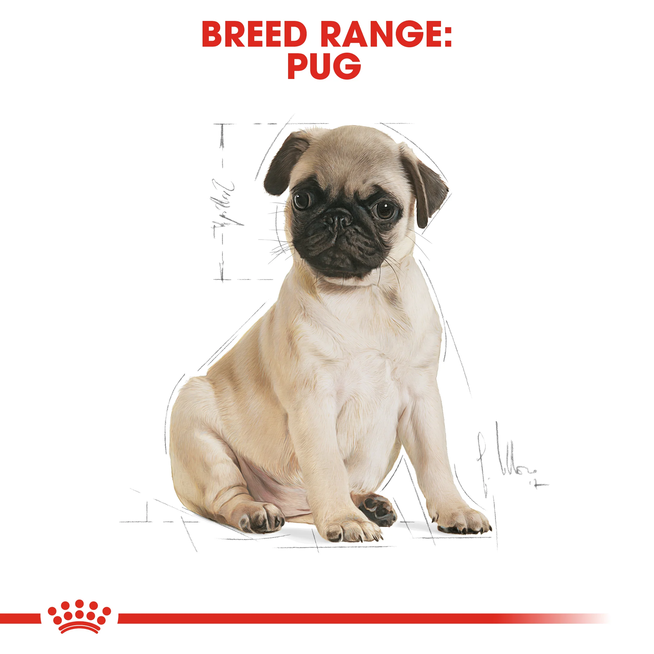 ROYAL CANIN® Pug Puppy Dry Dog Food - Image 10