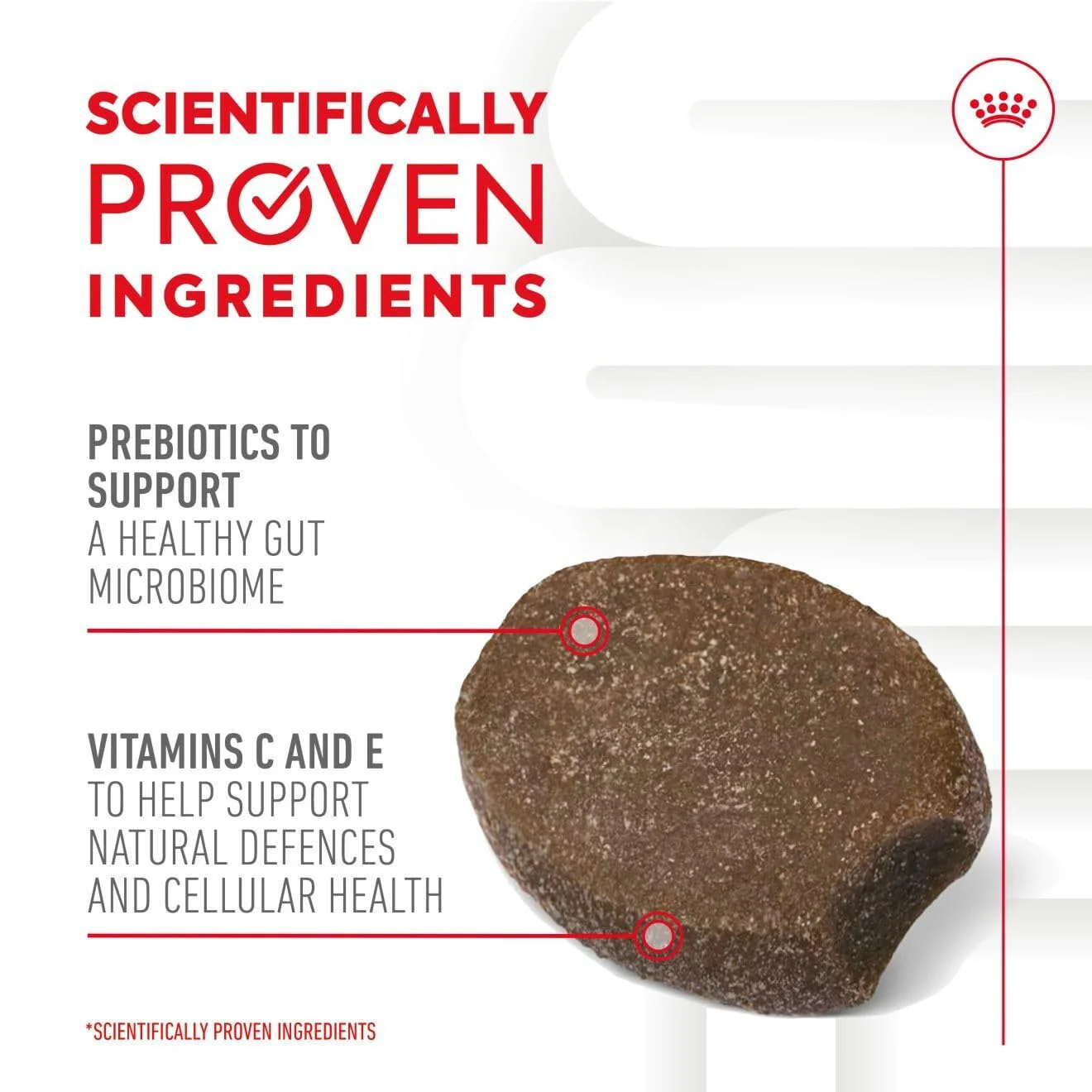 Royal Canin Puppy Supplement for Immunity & Digestion Soft Chews 100g - Image 4