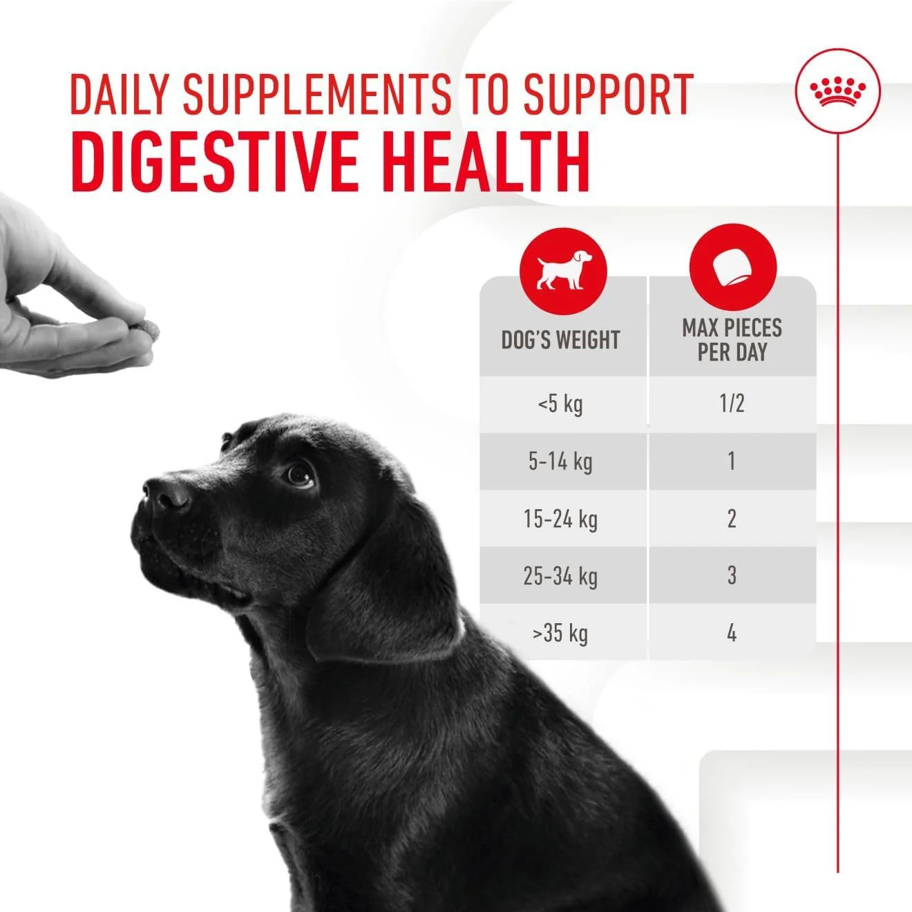 Royal Canin Puppy Supplement for Immunity & Digestion Soft Chews 100g - Image 9