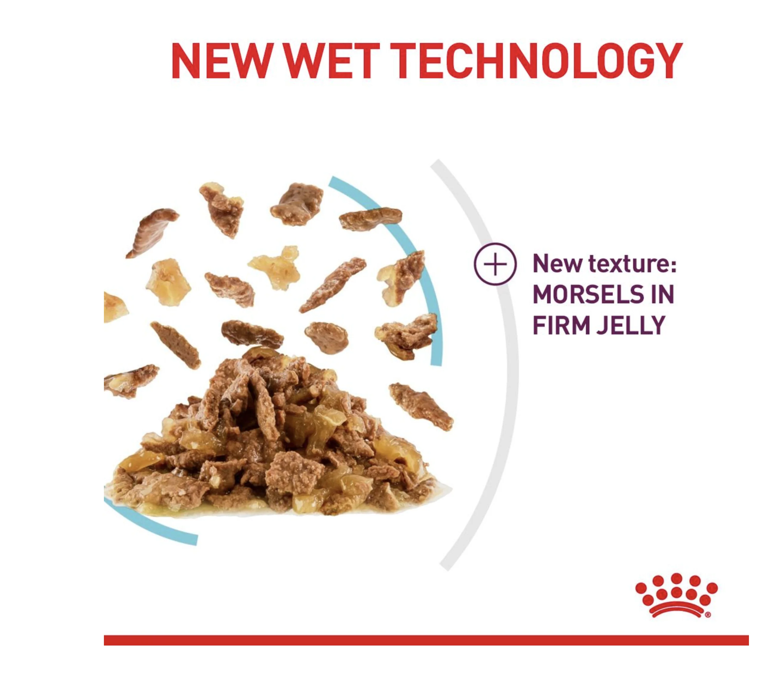 Royal Canin Sensory Feel Adult Wet Cat Food (in Jelly) - Image 2