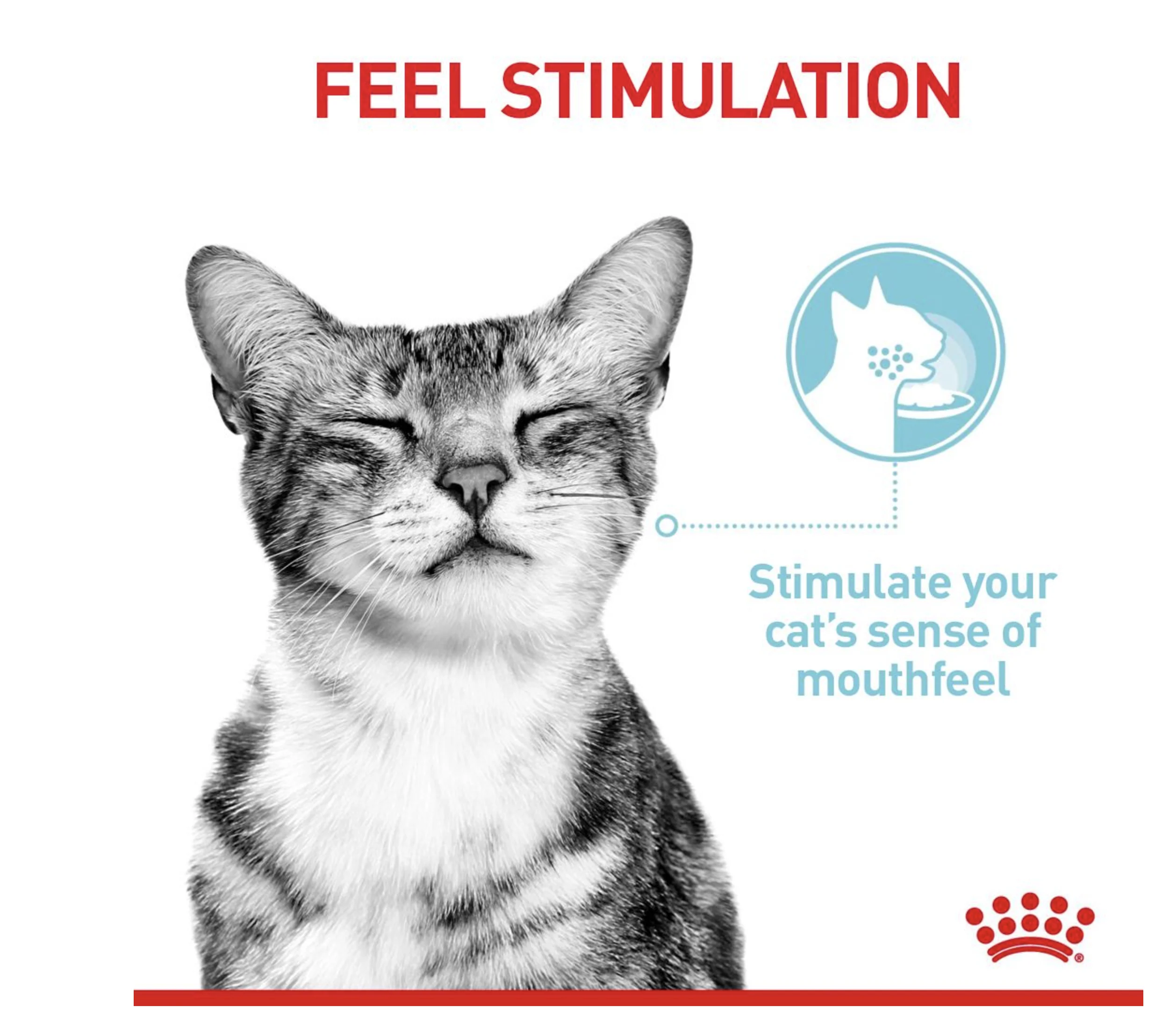 Royal Canin Sensory Feel Adult Wet Cat Food (in Jelly) - Image 6