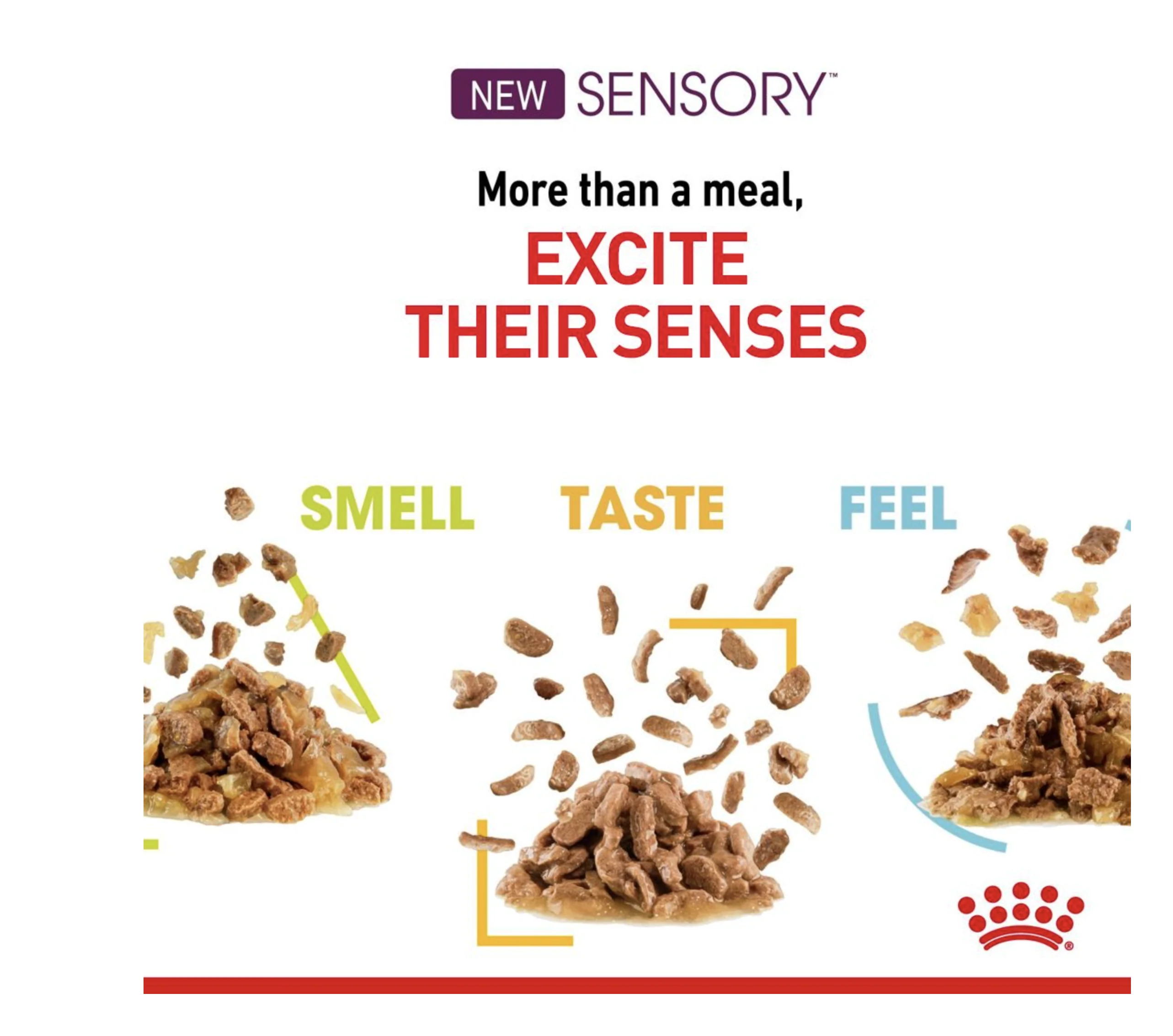 Royal Canin Sensory Feel Adult Wet Cat Food (in Jelly) - Image 7