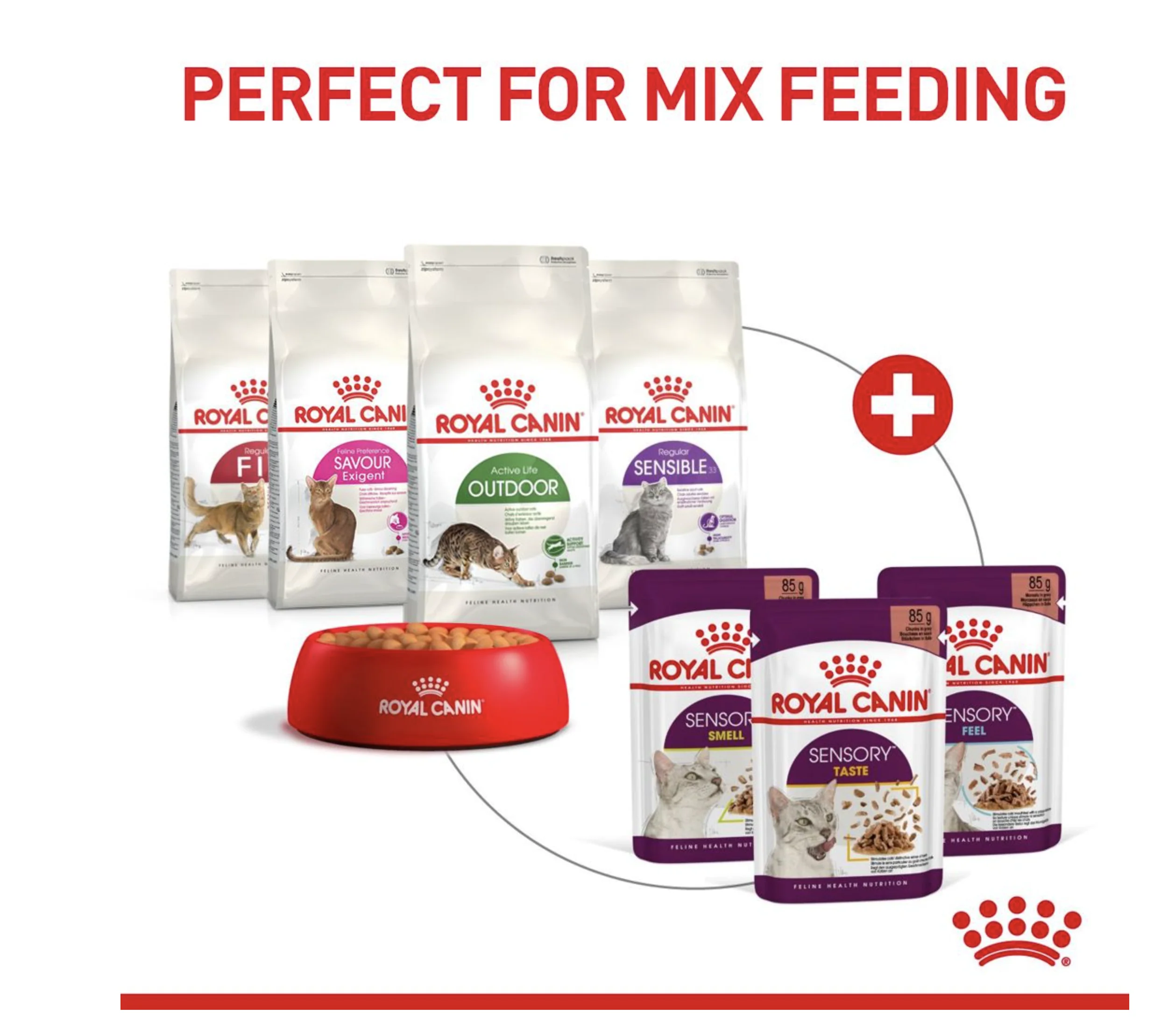 Royal Canin Sensory Feel Adult Wet Cat Food (in Jelly) - Image 8