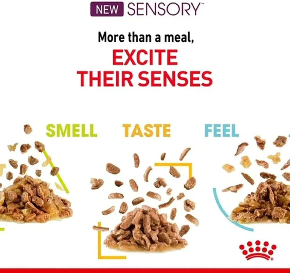 Royal Canin Sensory Mixed Pack Adult Wet Cat Food in Gravy (Mixed Pack of Taste, Smell & Feel) - Image 3