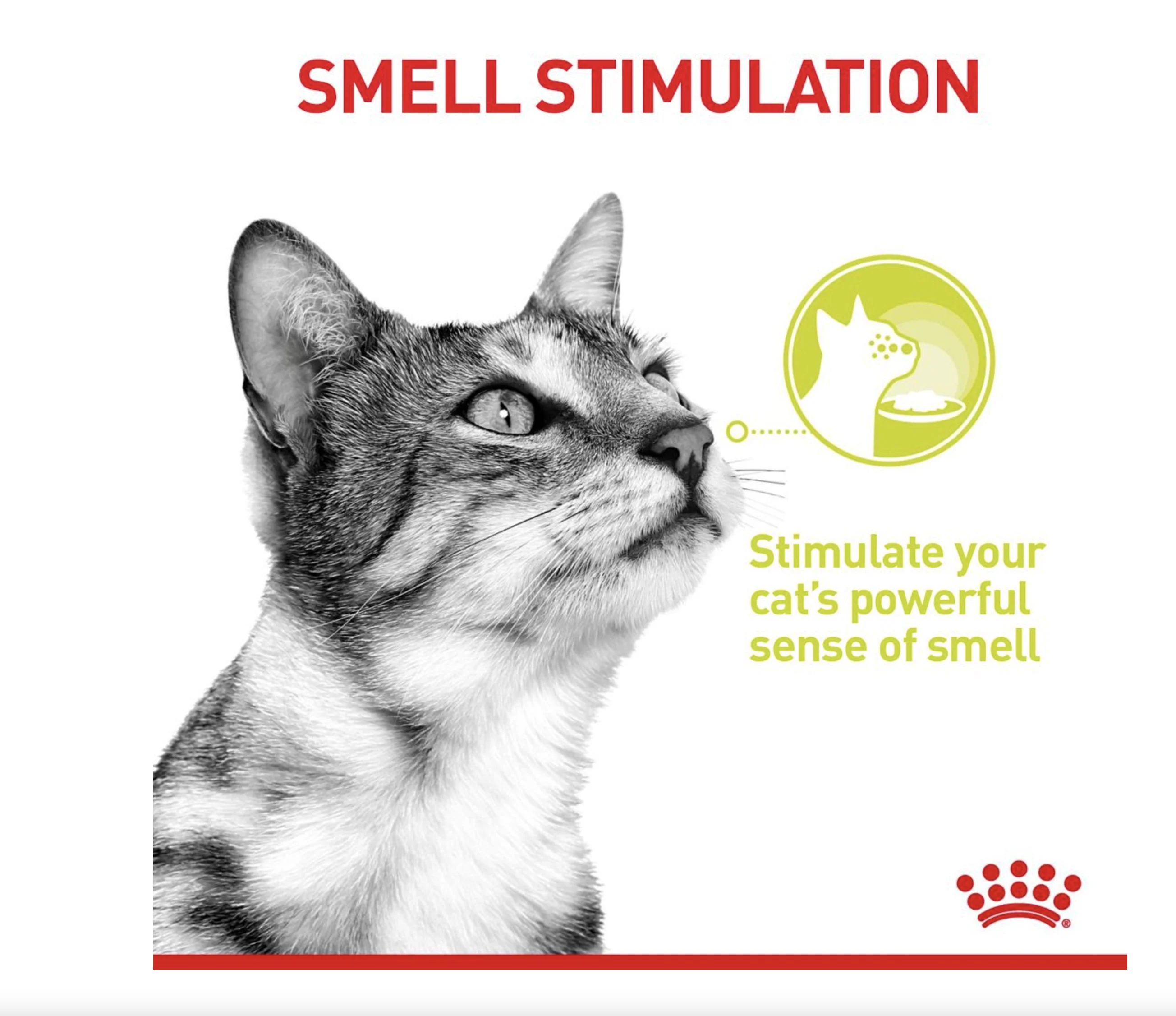 Royal Canin Sensory Smell Adult Wet Cat Food (in Gravy) - Image 6