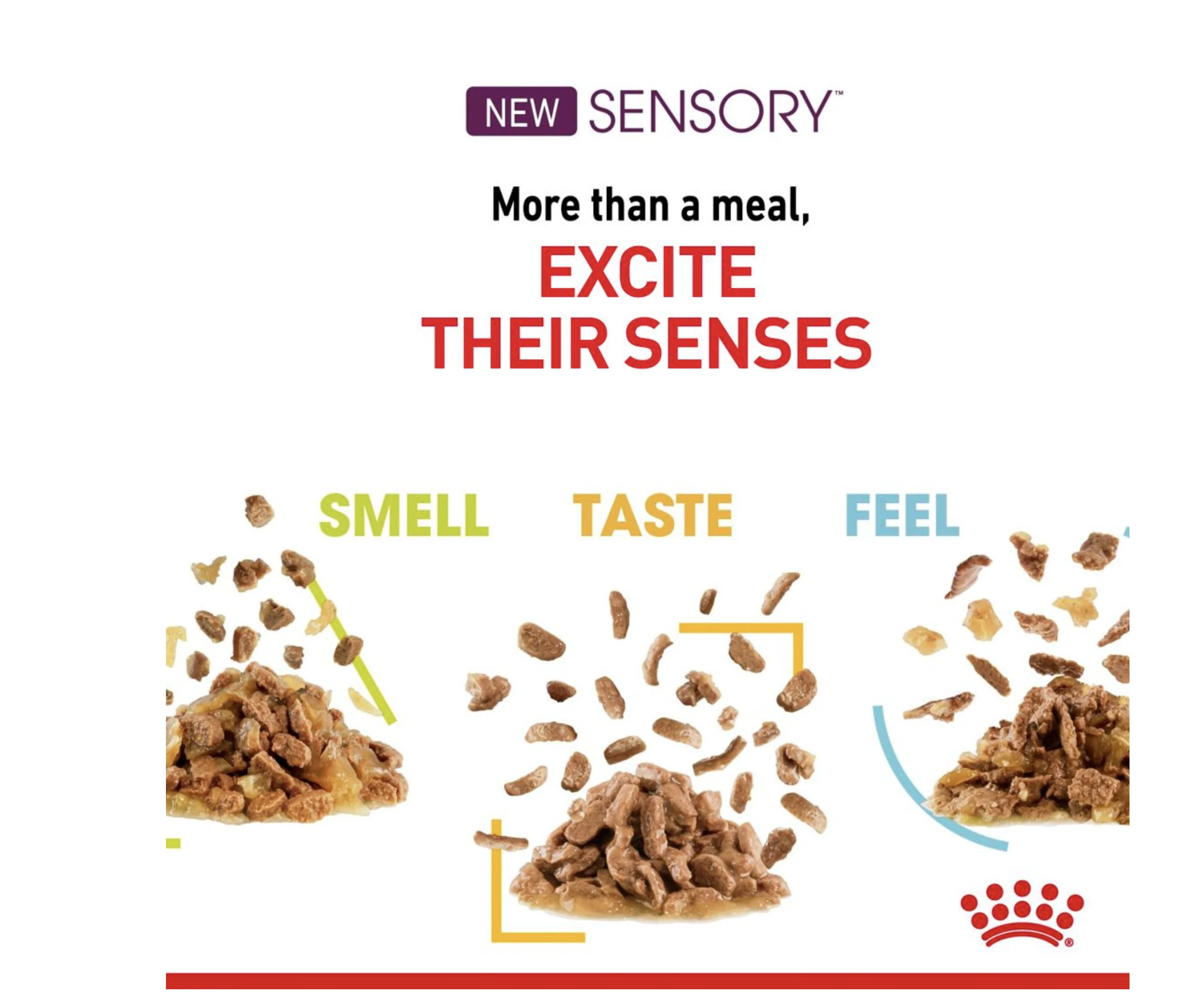 Royal Canin Sensory Smell Adult Wet Cat Food (in Gravy) - Image 7