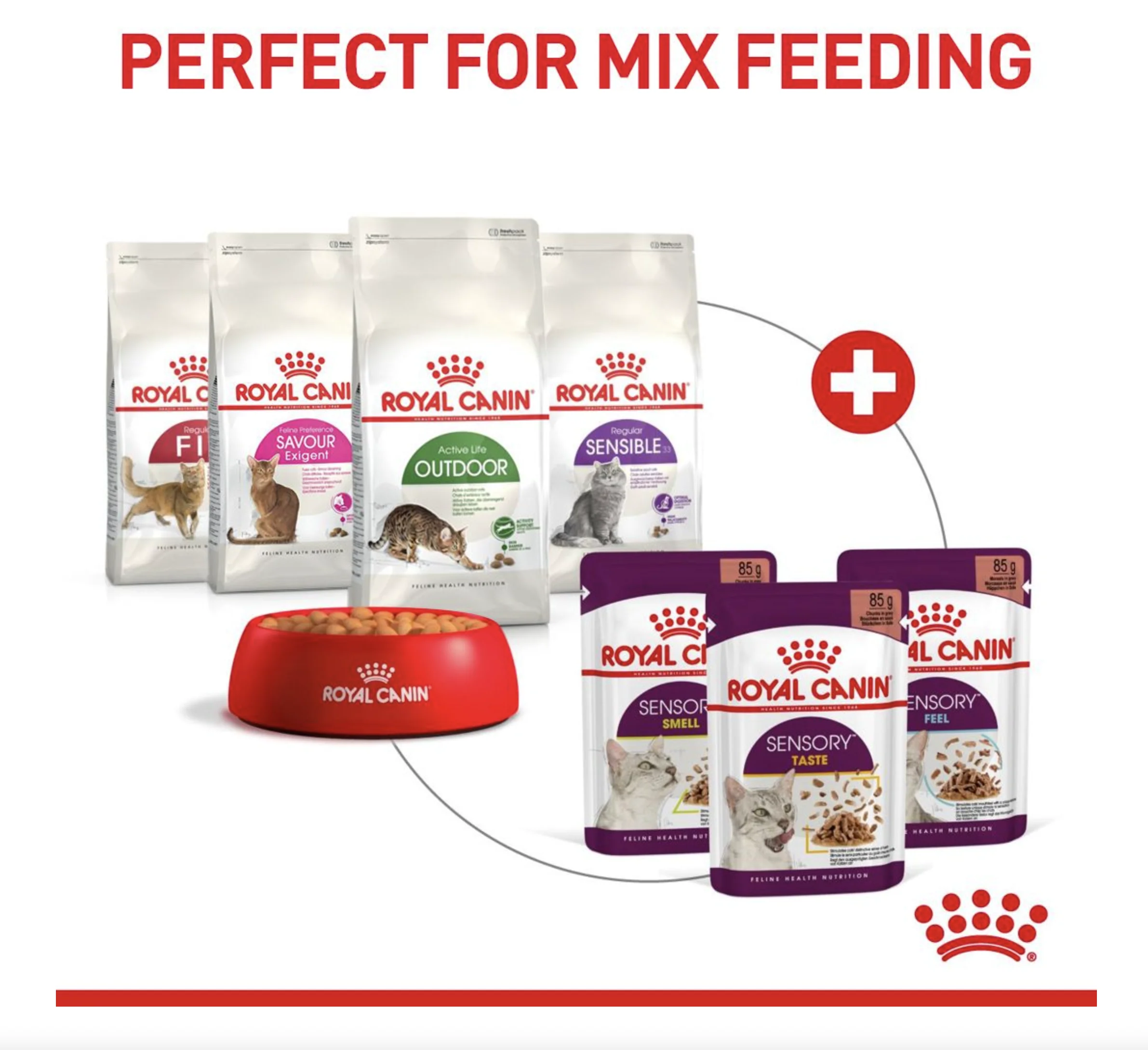 Royal Canin Sensory Smell Adult Wet Cat Food (in Gravy) - Image 8