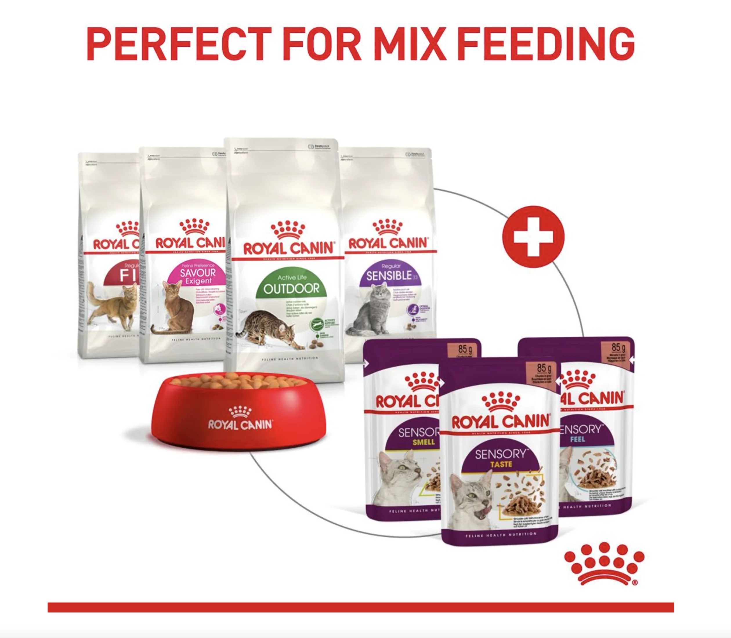 Royal Canin Sensory Smell Adult Wet Cat Food (in Jelly) - Image 10