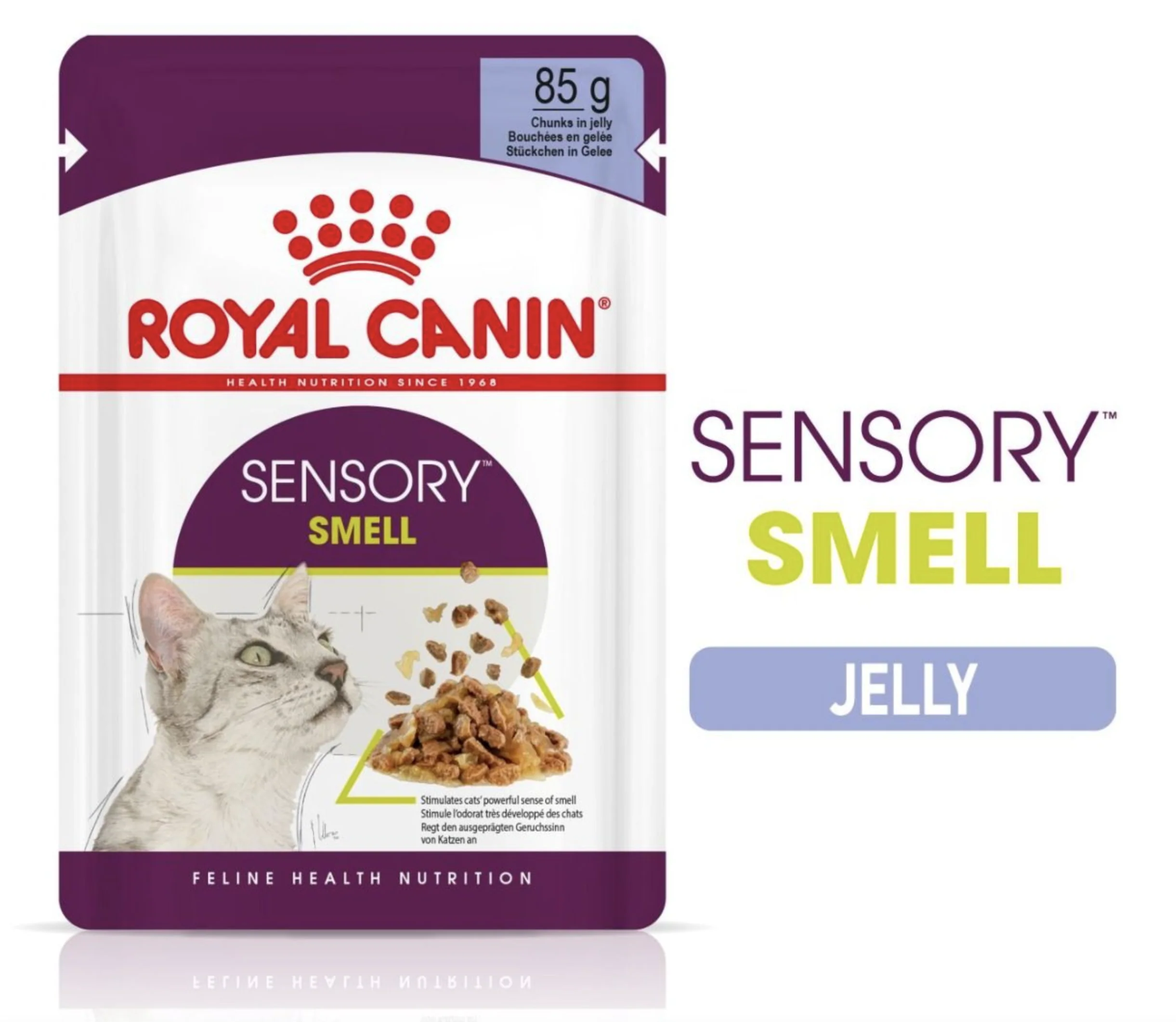 Royal Canin Sensory Smell Adult Wet Cat Food (in Jelly) - Image 5