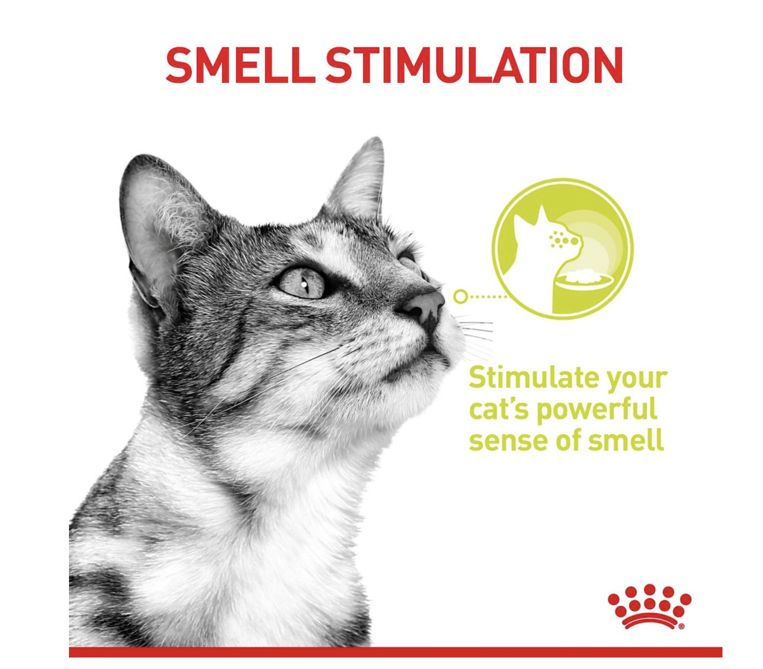 Royal Canin Sensory Smell Adult Wet Cat Food (in Jelly) - Image 6