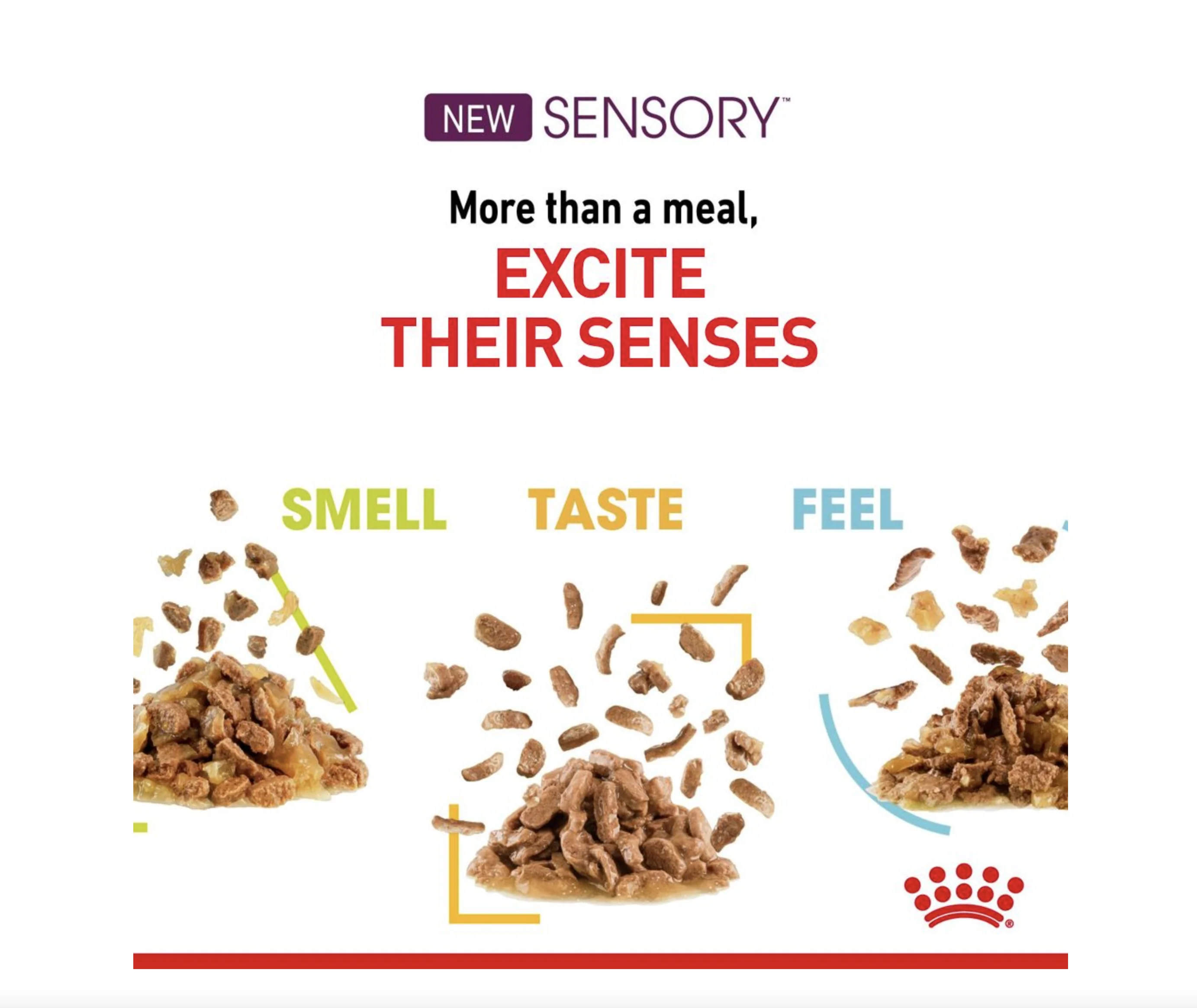 Royal Canin Sensory Smell Adult Wet Cat Food (in Jelly) - Image 7