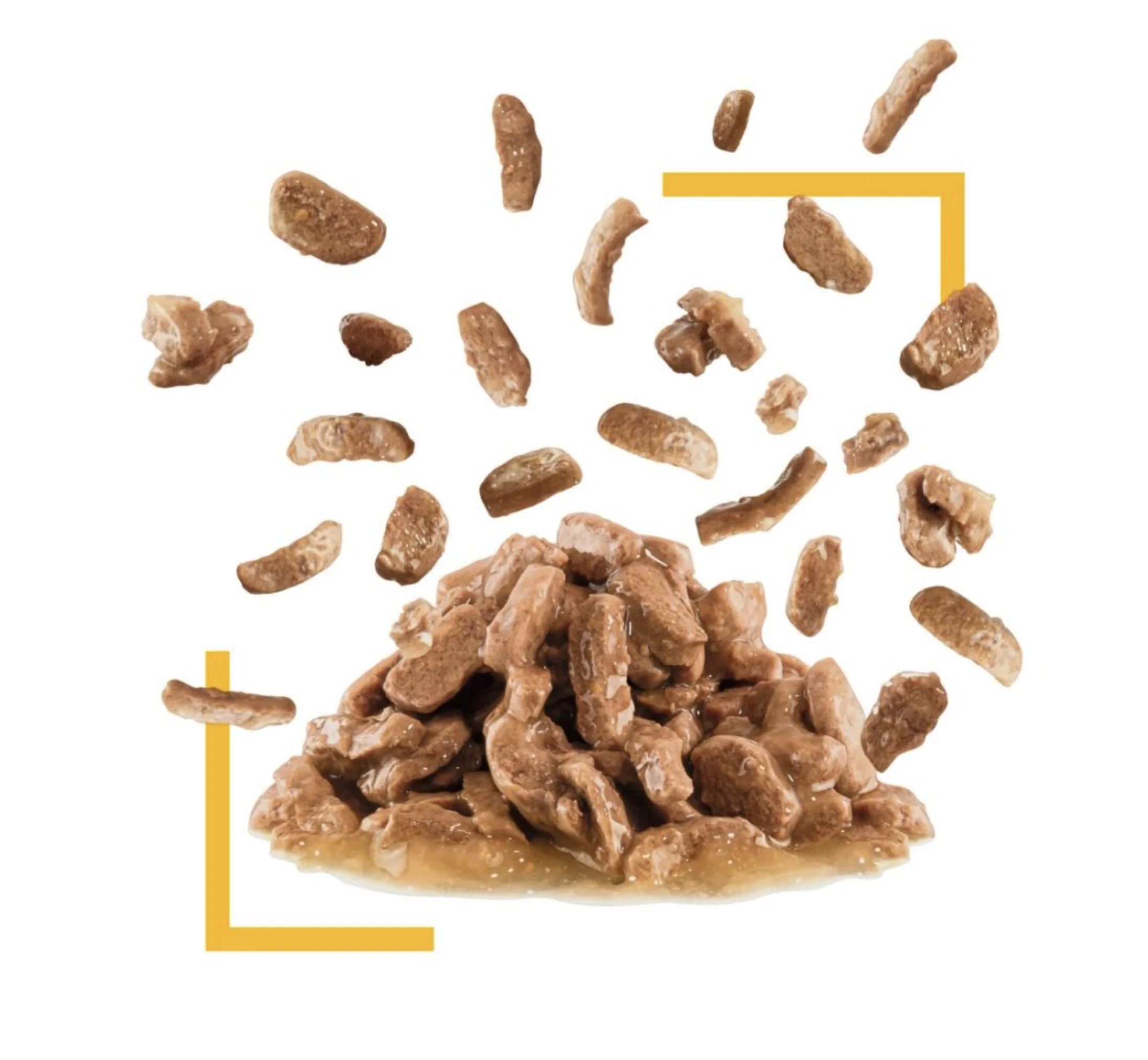 Royal Canin Sensory Taste Adult Wet Cat Food (in Gravy) - Image 4