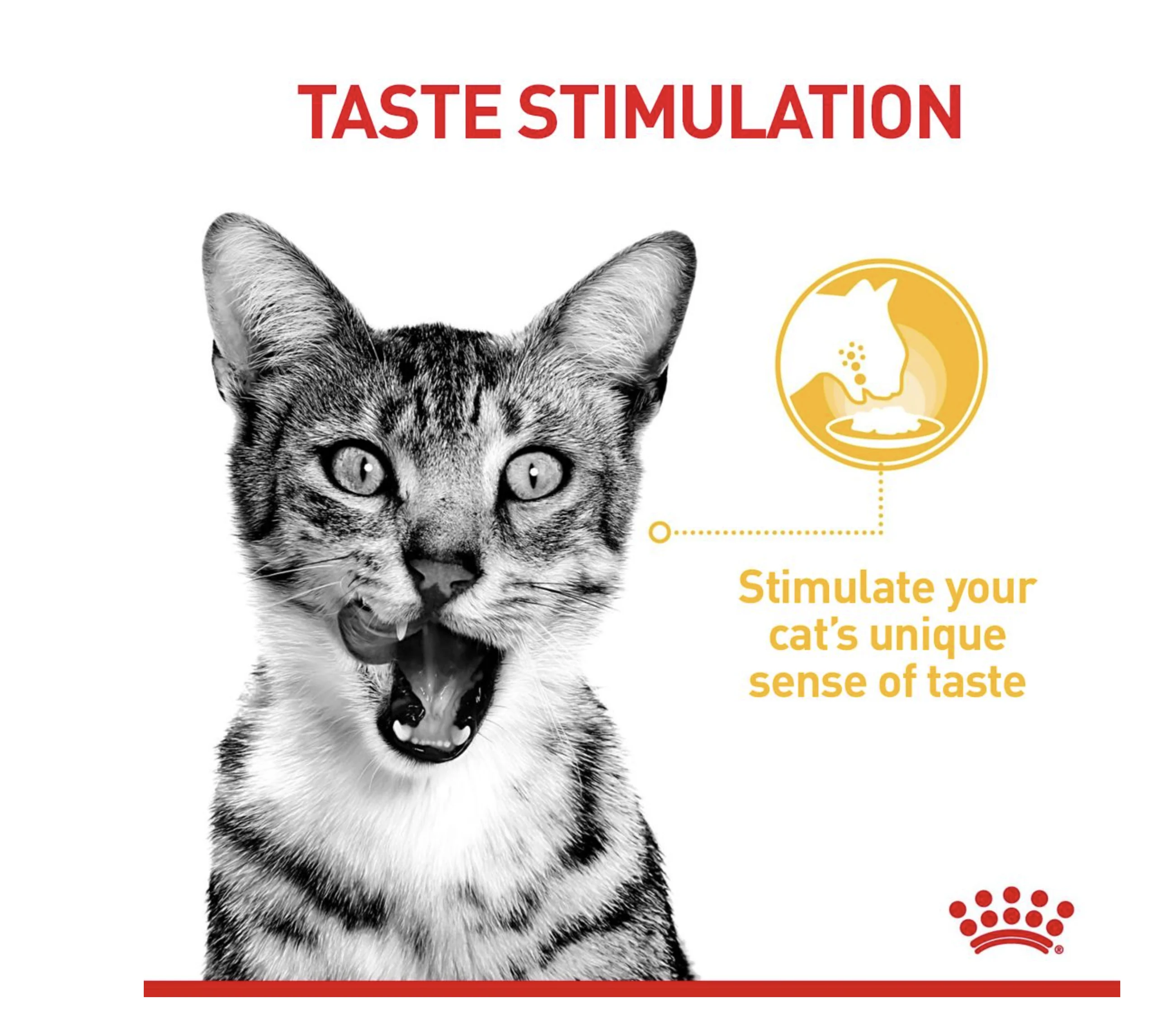 Royal Canin Sensory Taste Adult Wet Cat Food (in Gravy) - Image 6
