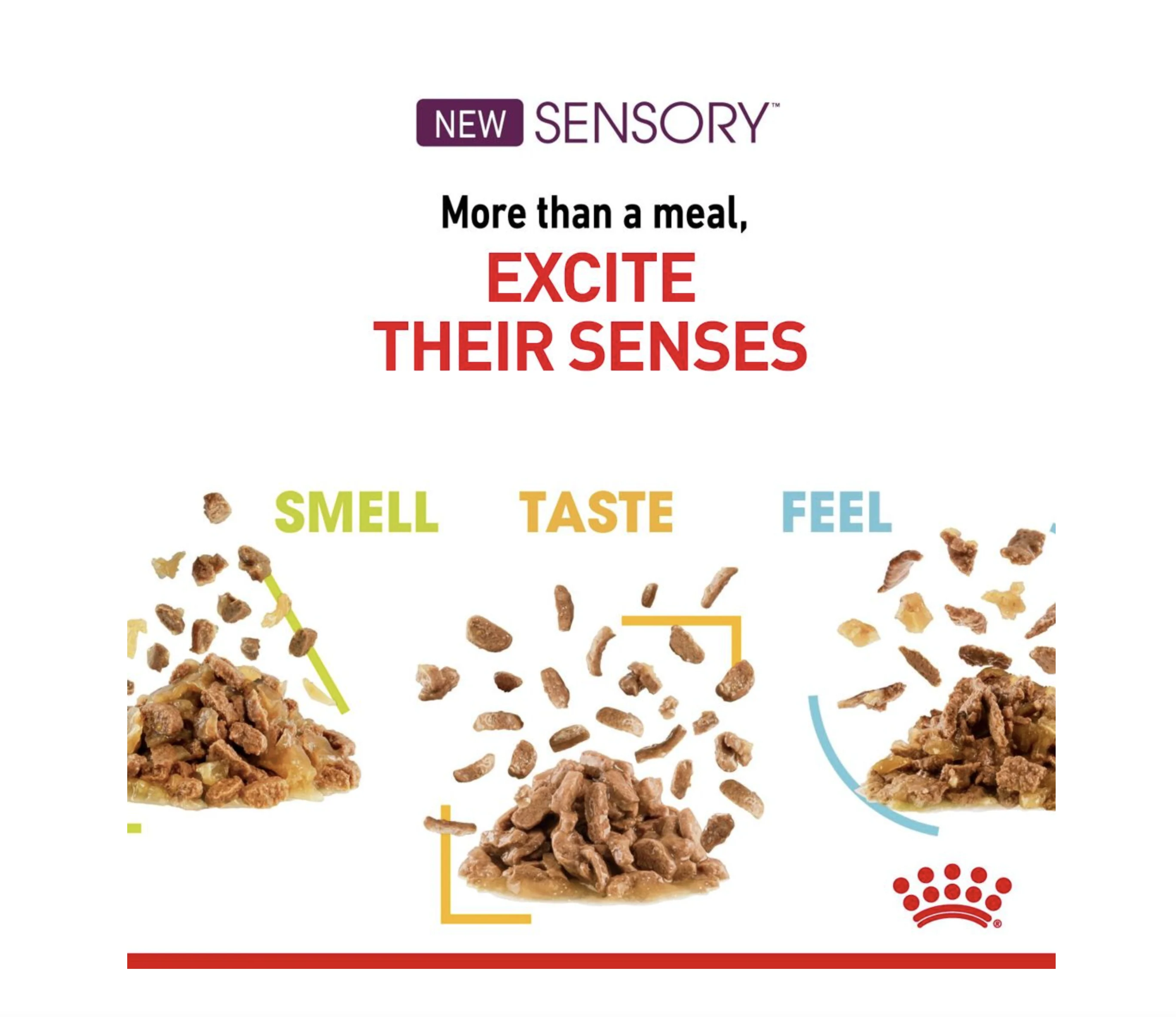 Royal Canin Sensory Taste Adult Wet Cat Food (in Gravy) - Image 7