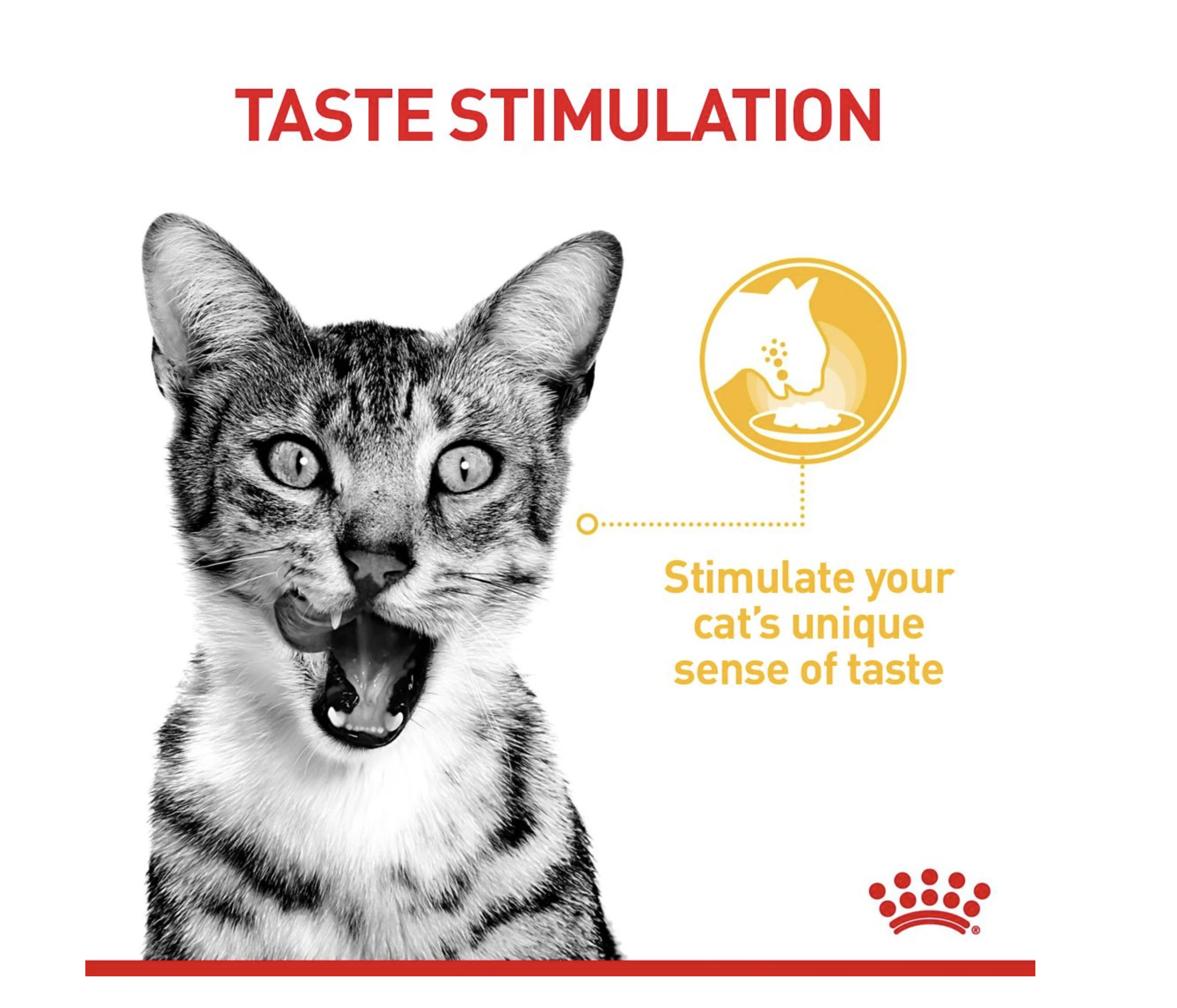 Royal Canin Sensory Taste Adult Wet Cat Food (in Jelly) - Image 6