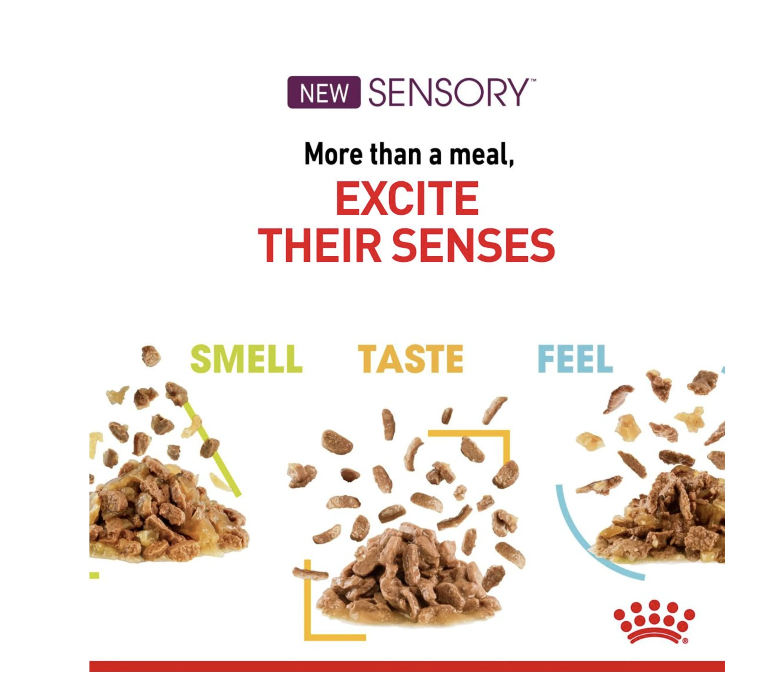 Royal Canin Sensory Taste Adult Wet Cat Food (in Jelly) - Image 7