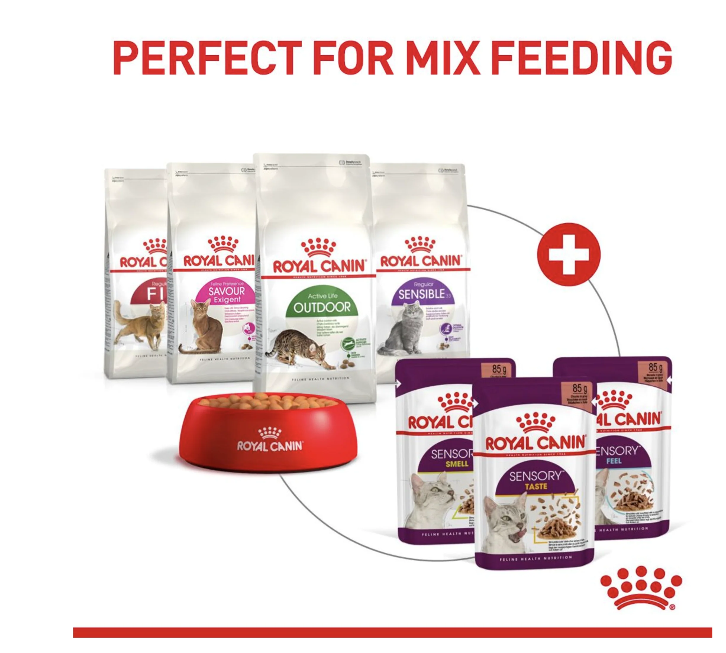 Royal Canin Sensory Taste Adult Wet Cat Food (in Jelly) - Image 8