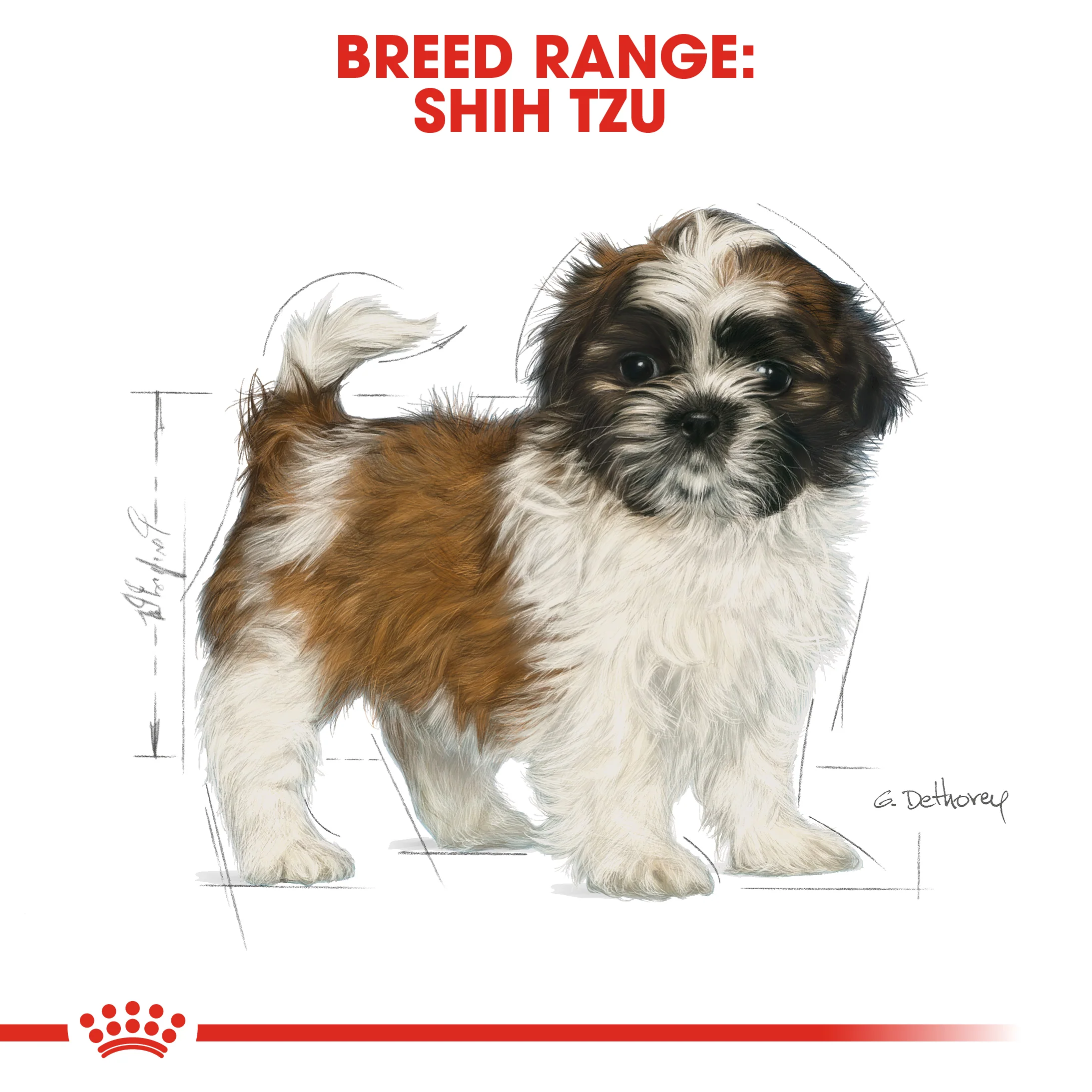 ROYAL CANIN® Shih Tzu Puppy Dry Dog Food - Image 12