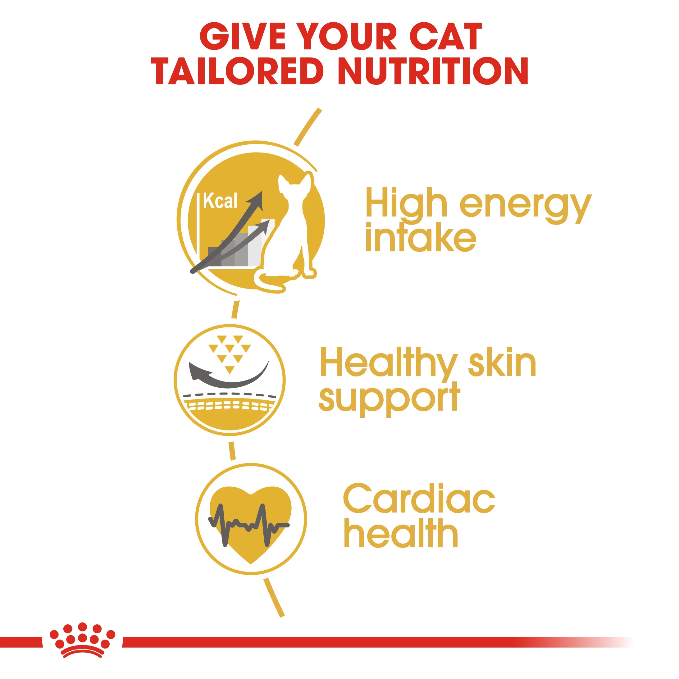 ROYAL CANIN® Sphynx Adult Dry Cat Food - Image 5