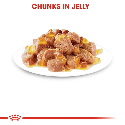 ROYAL CANIN Sterilised Adult In Jelly Wet Cat Food - Image 2