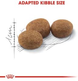 Royal Canin Sterilised Dry Cat Food - Image 4