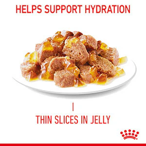 ROYAL CANIN Urinary Care In Jelly Adult Wet Cat Food - Image 5