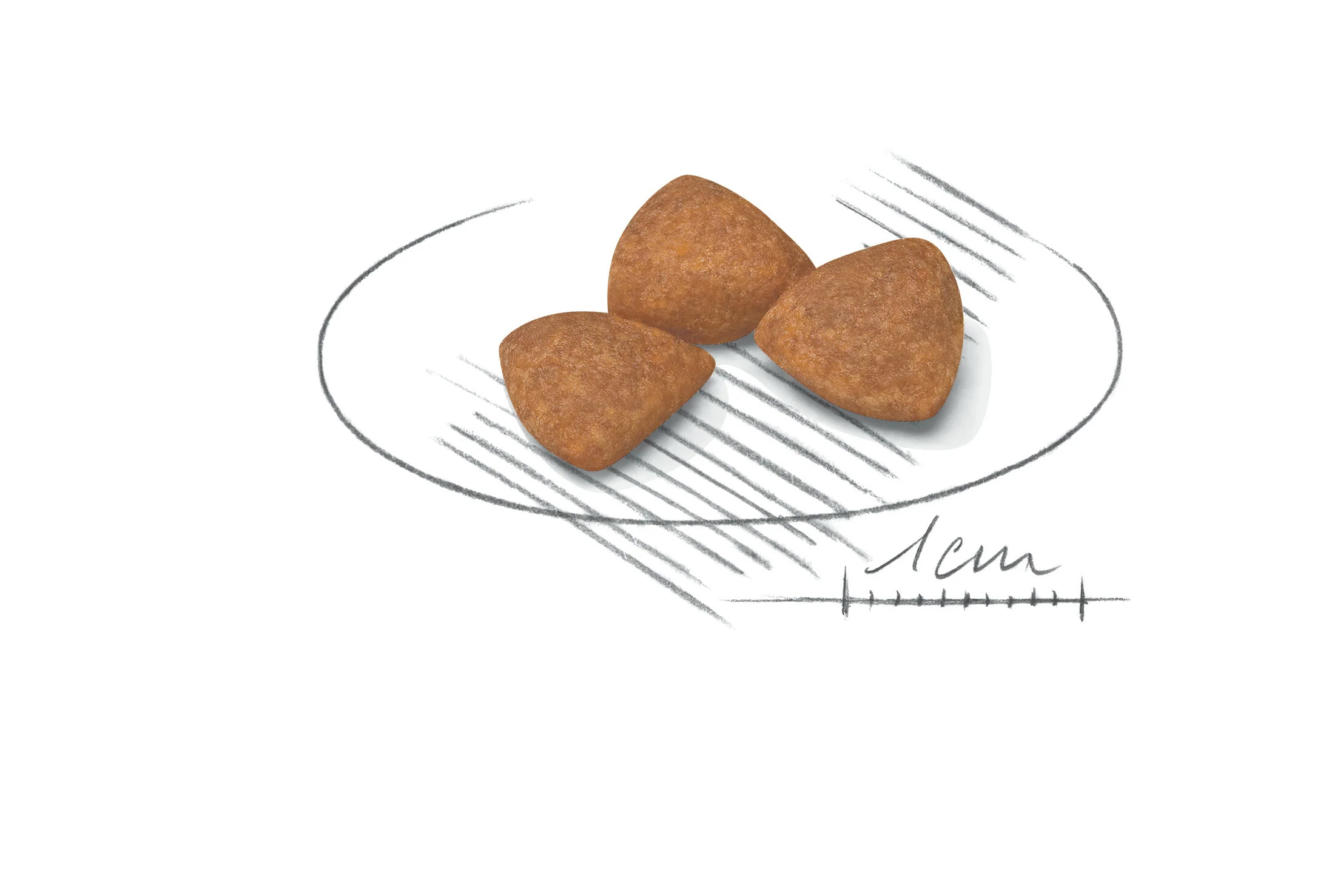 ROYAL CANIN® X-Small Adult 12+ Senior Dry Dog Food - Image 3
