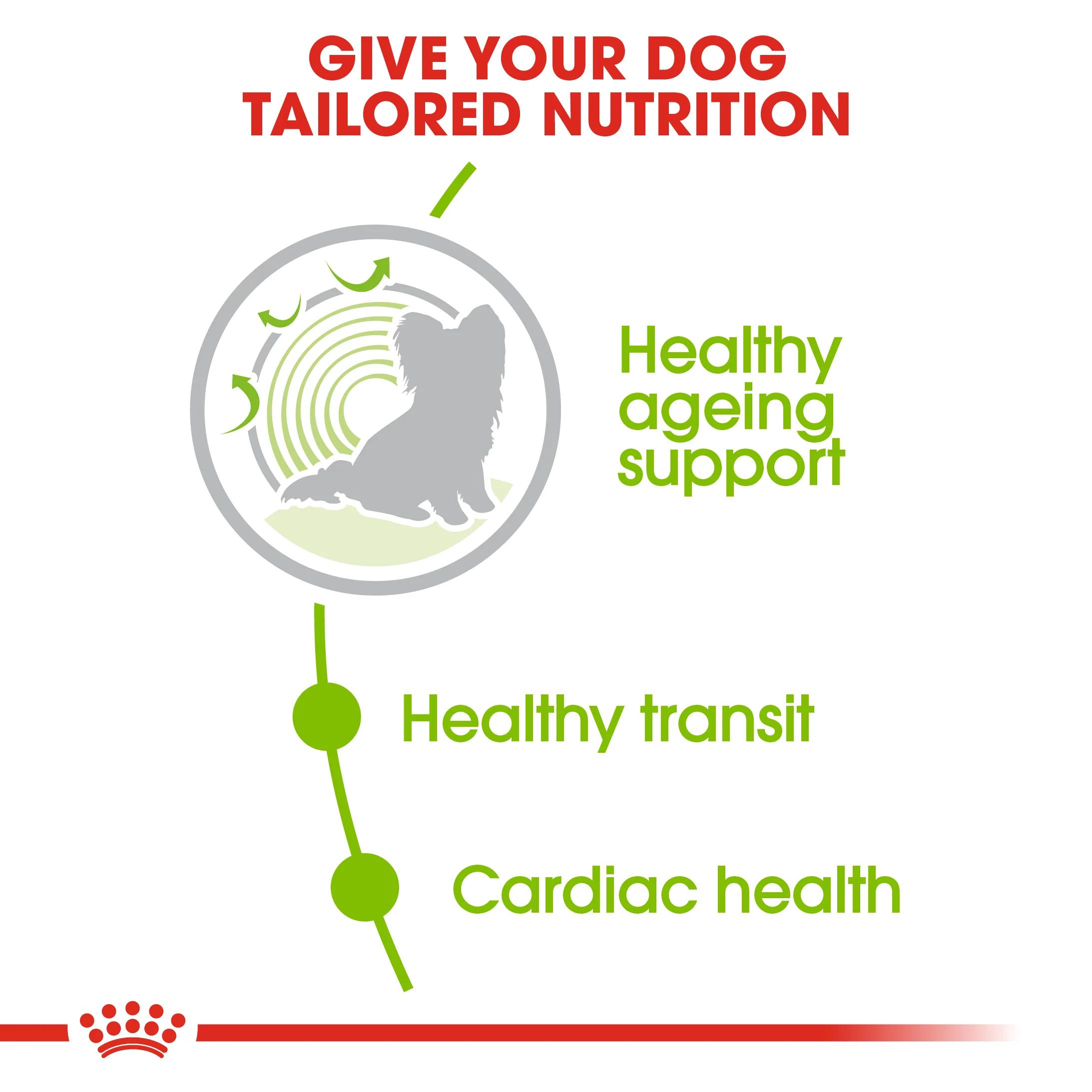 ROYAL CANIN® X-Small Adult 12+ Senior Dry Dog Food - Image 6