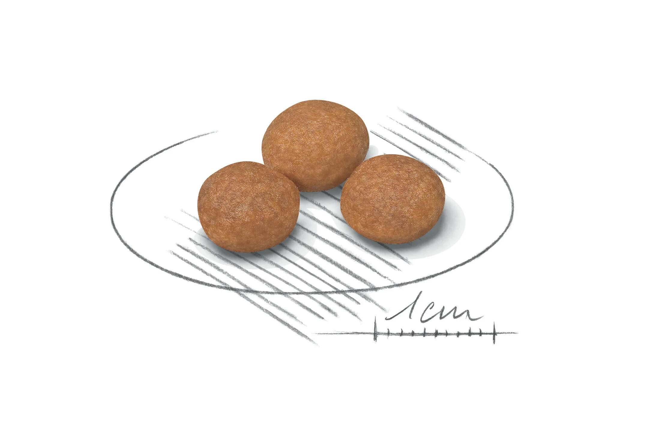 ROYAL CANIN X-Small Adult 8+ Dry Dog Food - Image 3
