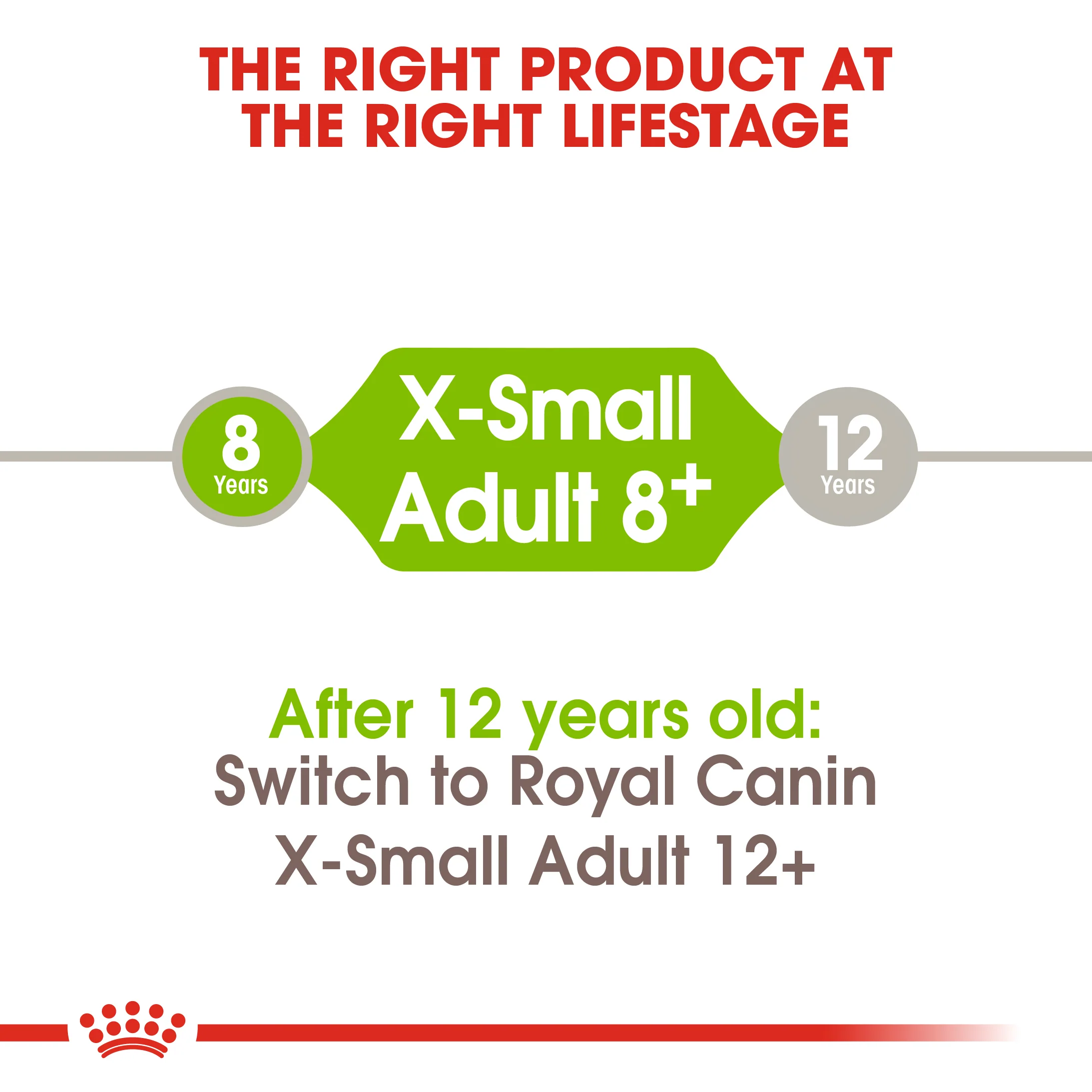 ROYAL CANIN X-Small Adult 8+ Dry Dog Food - Image 7