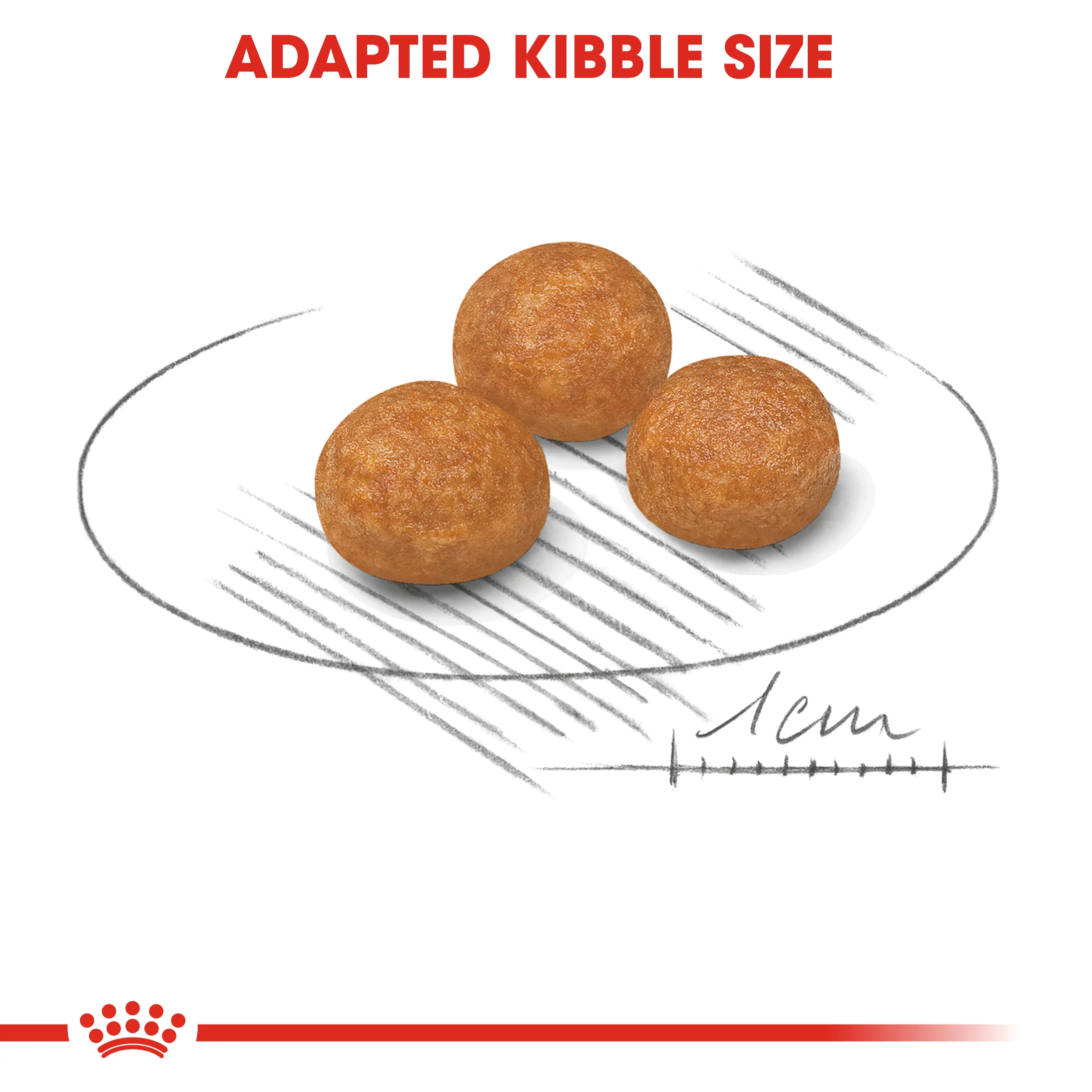 ROYAL CANIN® X-Small Adult Dry Dog Food - Image 2