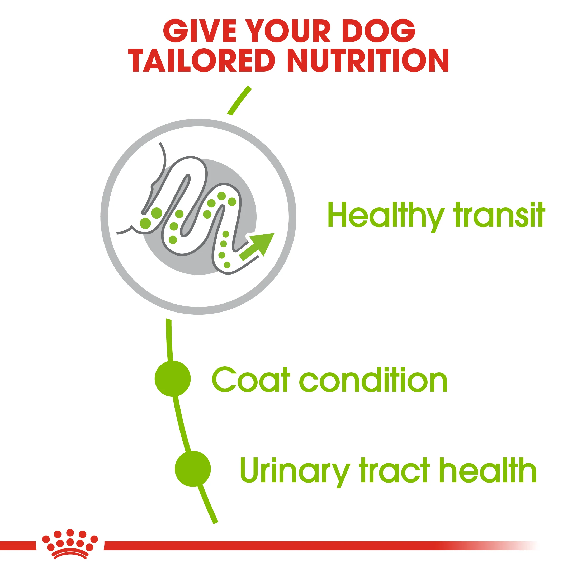 ROYAL CANIN® X-Small Adult Dry Dog Food - Image 6