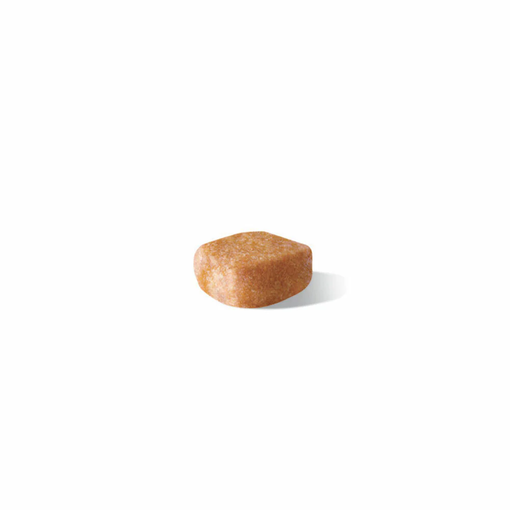 ROYAL CANIN® Yorkshire Terrier Puppy Dry Dog Food - Image 3