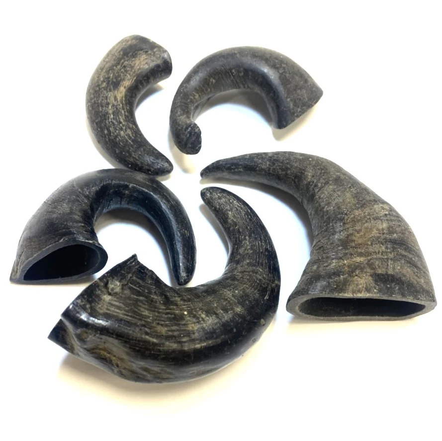 Small Buffalo Horns - Image 2