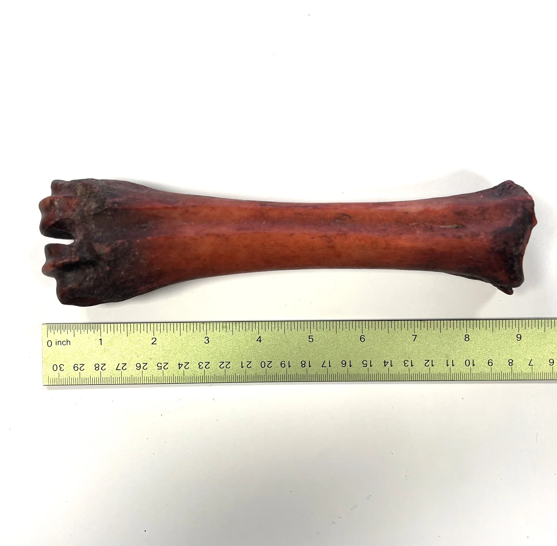 Smoked Shank Bone - Image 4