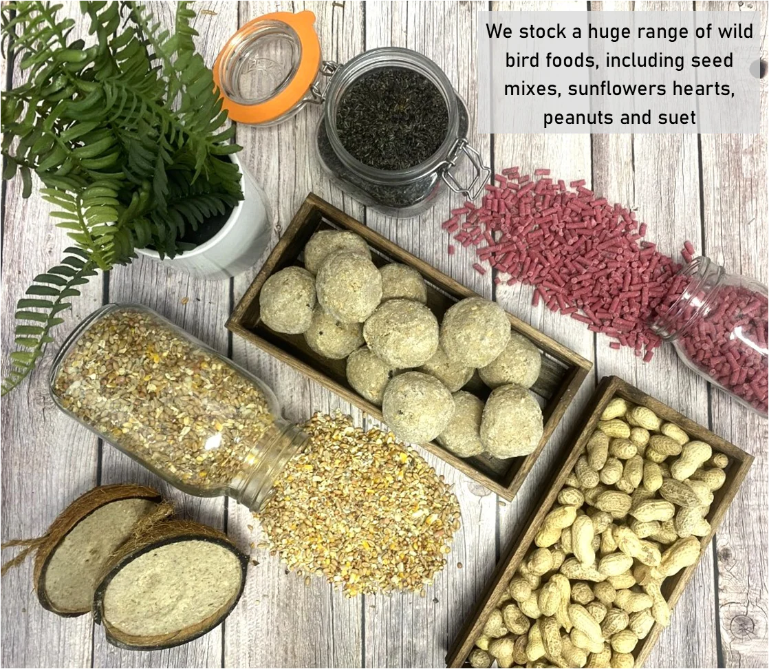 Whole Peanuts - Image 7